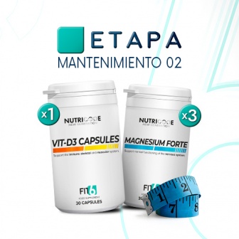 FIT6 - New Generation - Manutenimiento 2