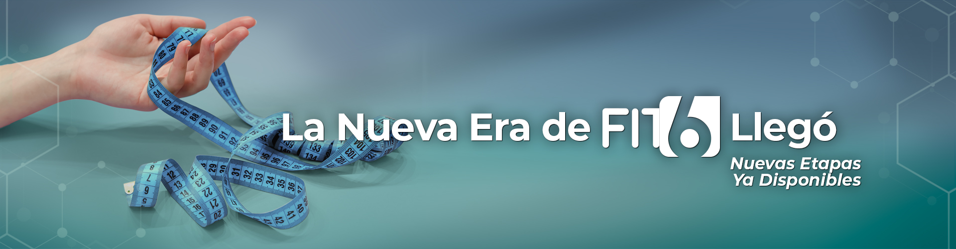 Novas Etapas FIT6